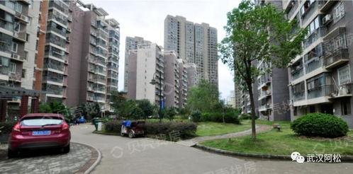 武汉小区最新爆料,揭秘神秘事件背后的真相
